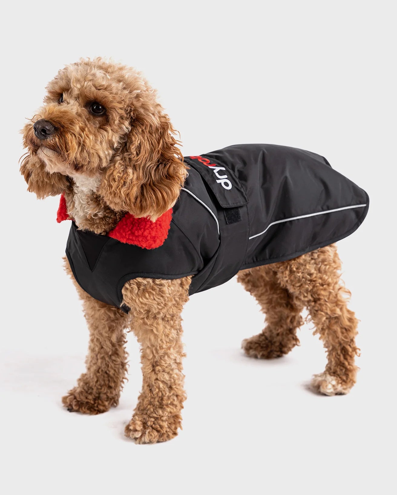 DryRobe Dog Black Red (L)