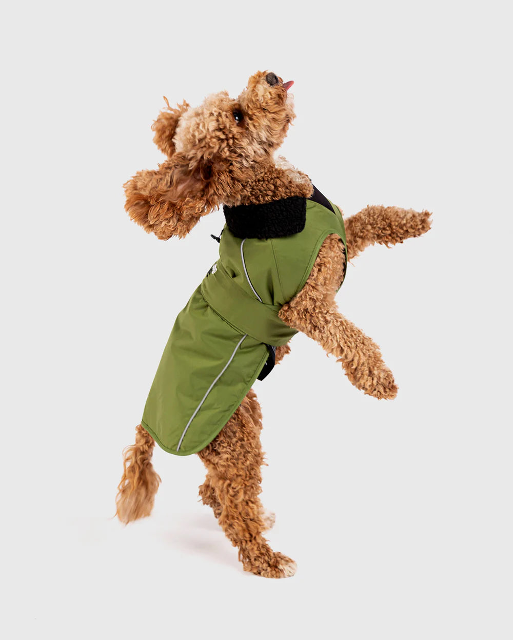 Dryrobe Dog Green Black XXL