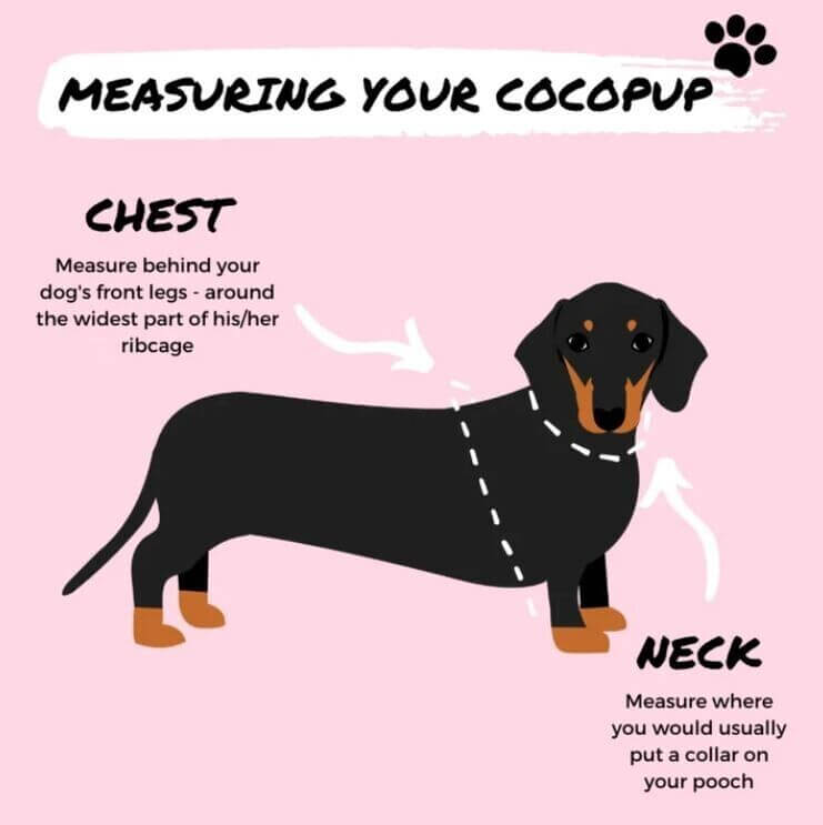 Cocopup Happiness Adjustable Neck Harness XS