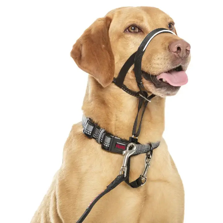 Halti Headcollar Black Size 2