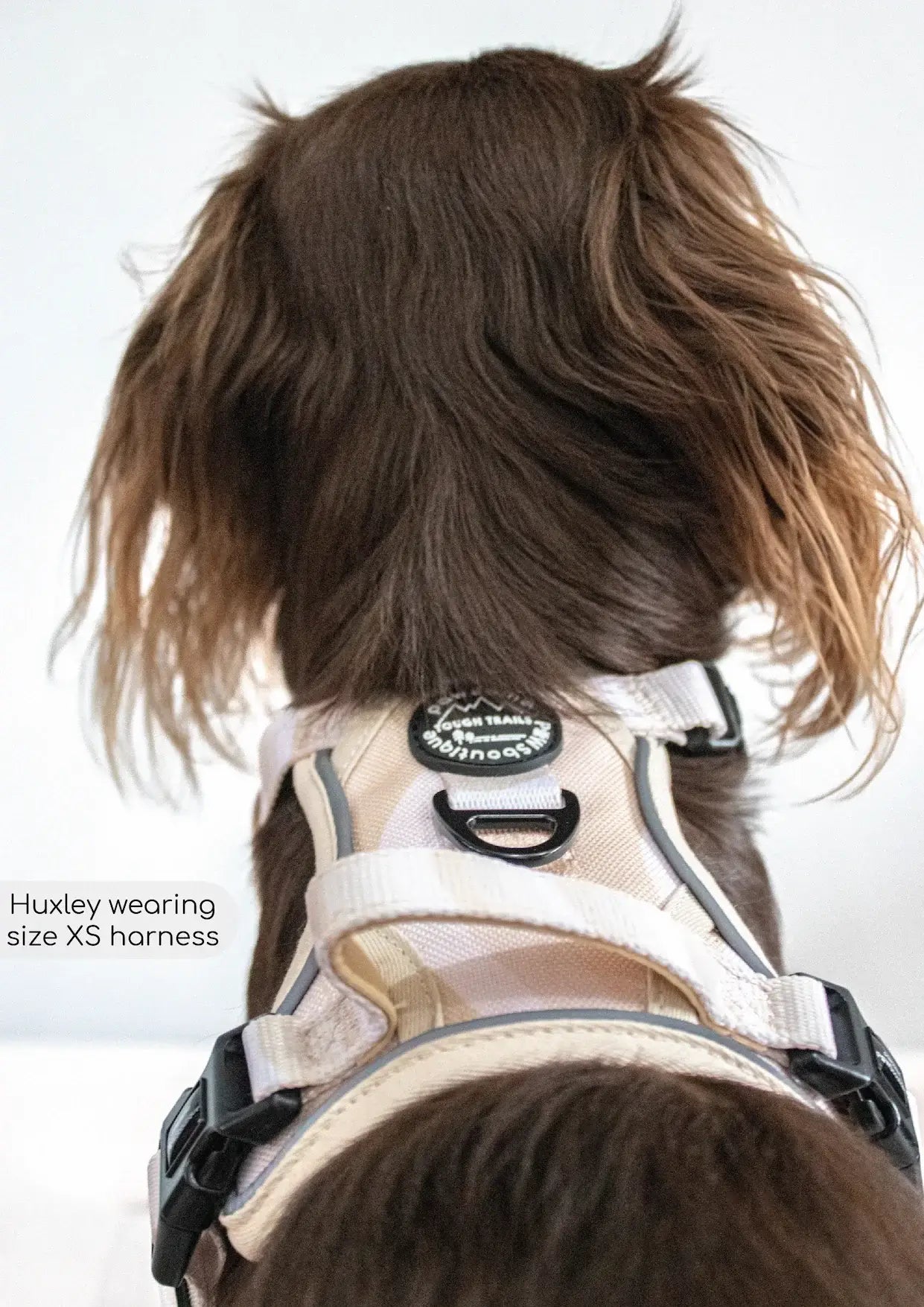 Pawsome Paws Boutique Harness Cappuccino Swirl Medium