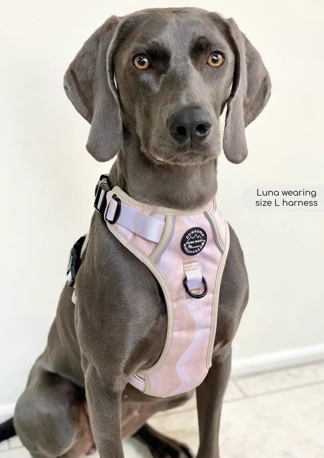 Pawsome Paws Boutique Harness Cappuccino Swirl Large