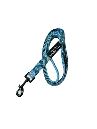 Pawsome Paws Boutique - Country Teal 5ft Lead