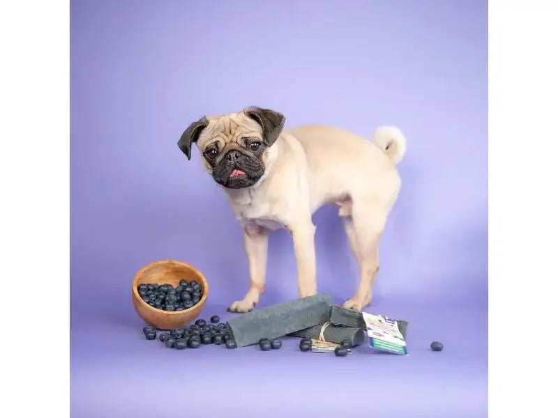 Yakers Blueberry Dog Chew Medium
