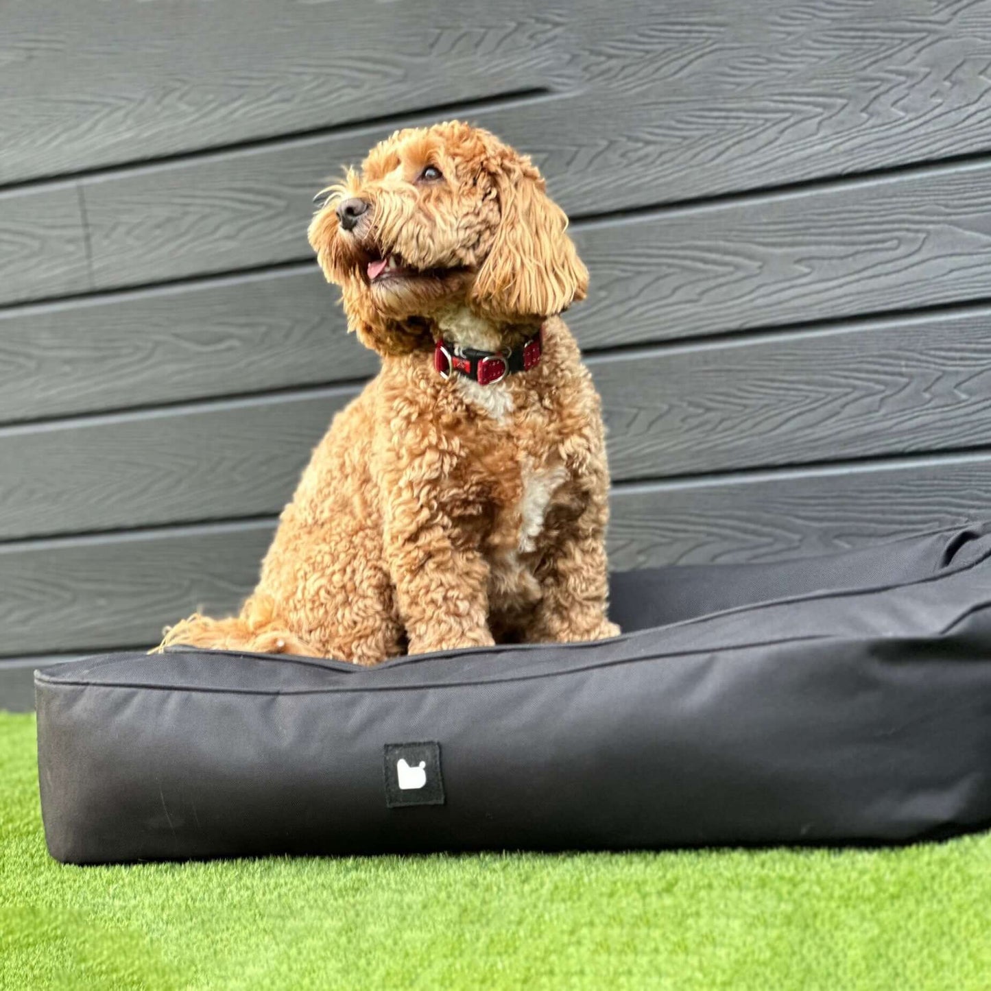 B-DOG MINI BLACK DOG BED