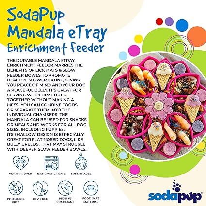 Sodapup Mandala Pink eTray Slow Feeder