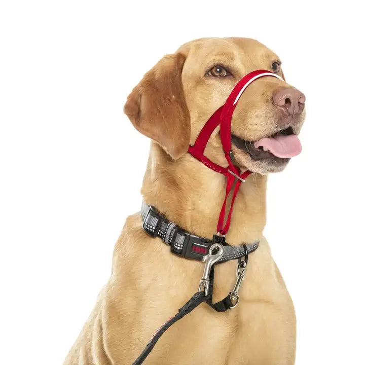 Halti Headcollar Red Size 1