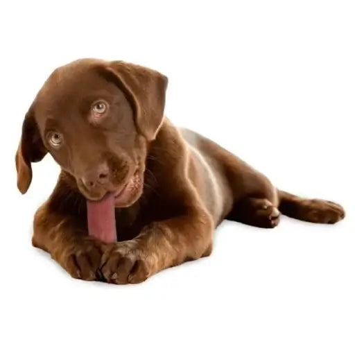 Yakers Dog Chew Strawberry Medium