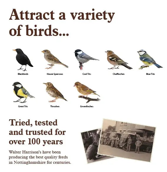 Harrisons Wild Bird Mix 4kg Pouch