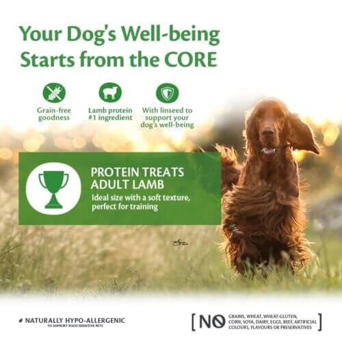 Wellness Core Training Treats Lamb Flavoured With Apple 170g
