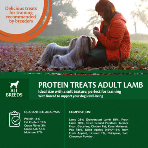 Wellness Core Training Treats Lamb Flavoured With Apple 170g