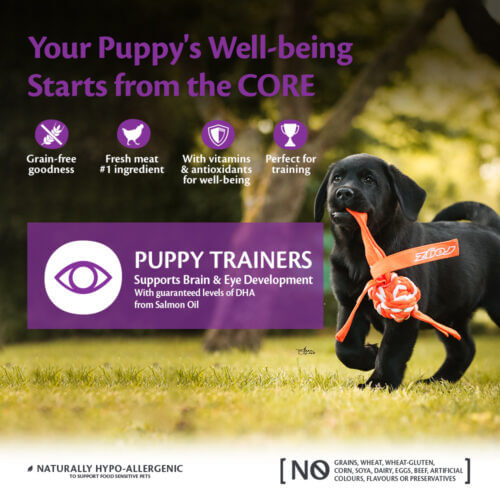 Wellness Core Puppy Trainers Chicken Flavoured With Carrots 170g