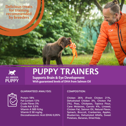 Wellness Core Puppy Trainers Chicken Flavoured With Carrots 170g