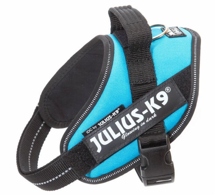 Julius k9 IDC?-Powerharness, Size: Mini, `Aquamarine`