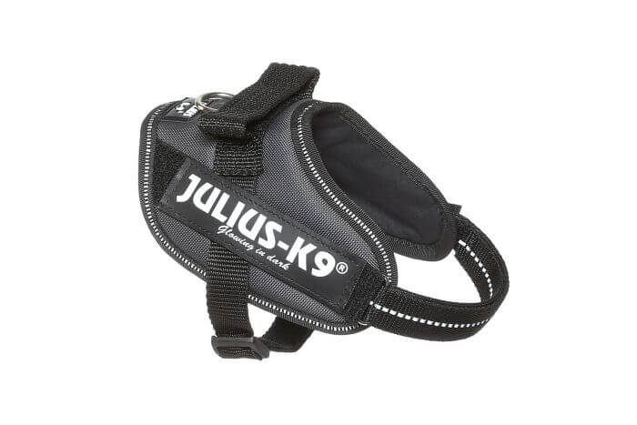 Julius k9 IDC?-Powerharness, Size: Mini-Mini, grey