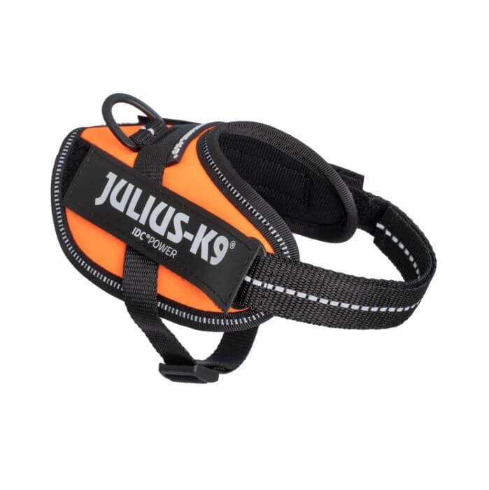 Julius-K9 IDC Powerharness Baby 2, UV orange