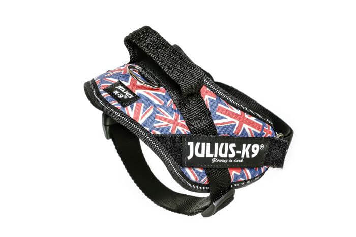 Julius k9 IDC?-Powerharness Size: Mini union jack