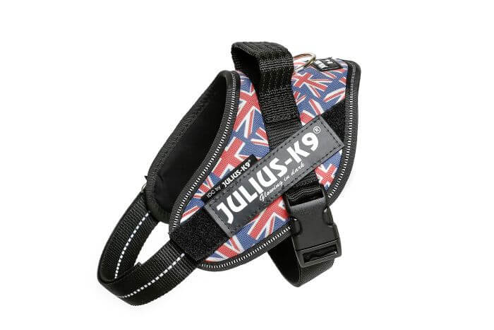 Julius k9 IDC?-Powerharness Size: Mini union jack
