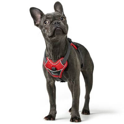 Hunter Harness Divo 56-73/M Nylon/Polyester red/grey