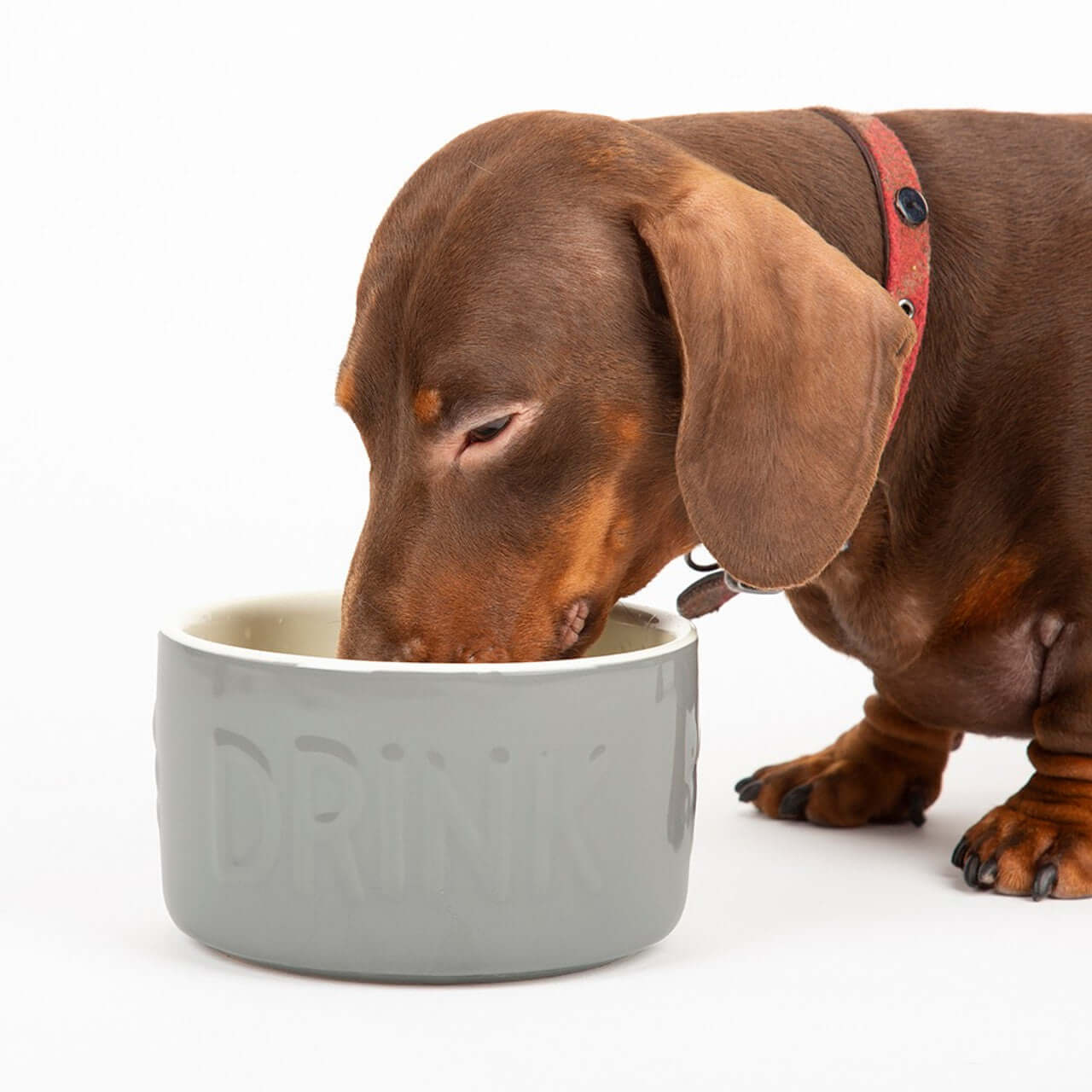 Scruffs Classic Water Bowl - 15cm Grey