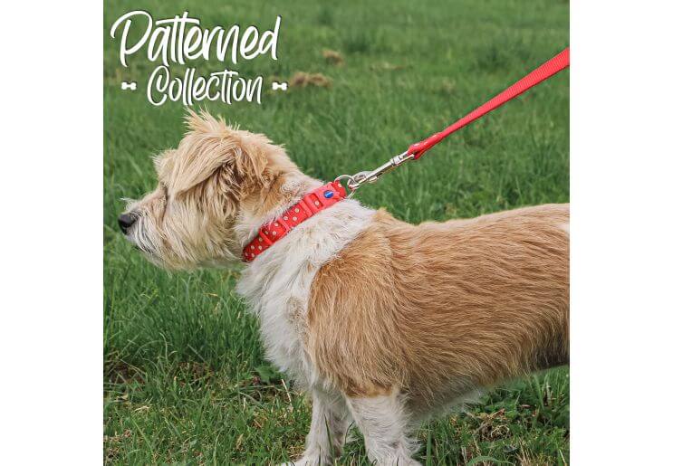 Ancol Nylon Vintage Polka Dot Lead Red 19mmx1m