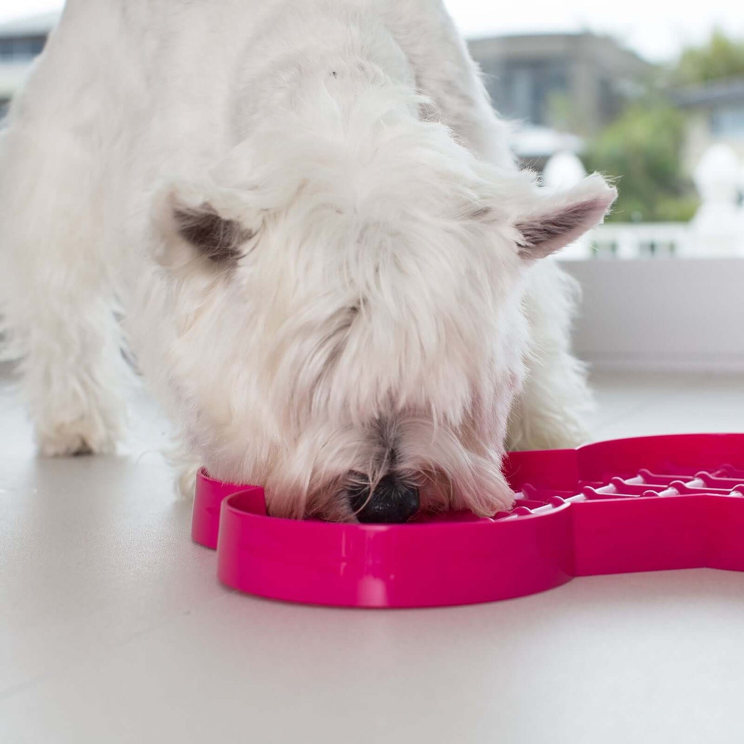 Slodog Pink 35cm