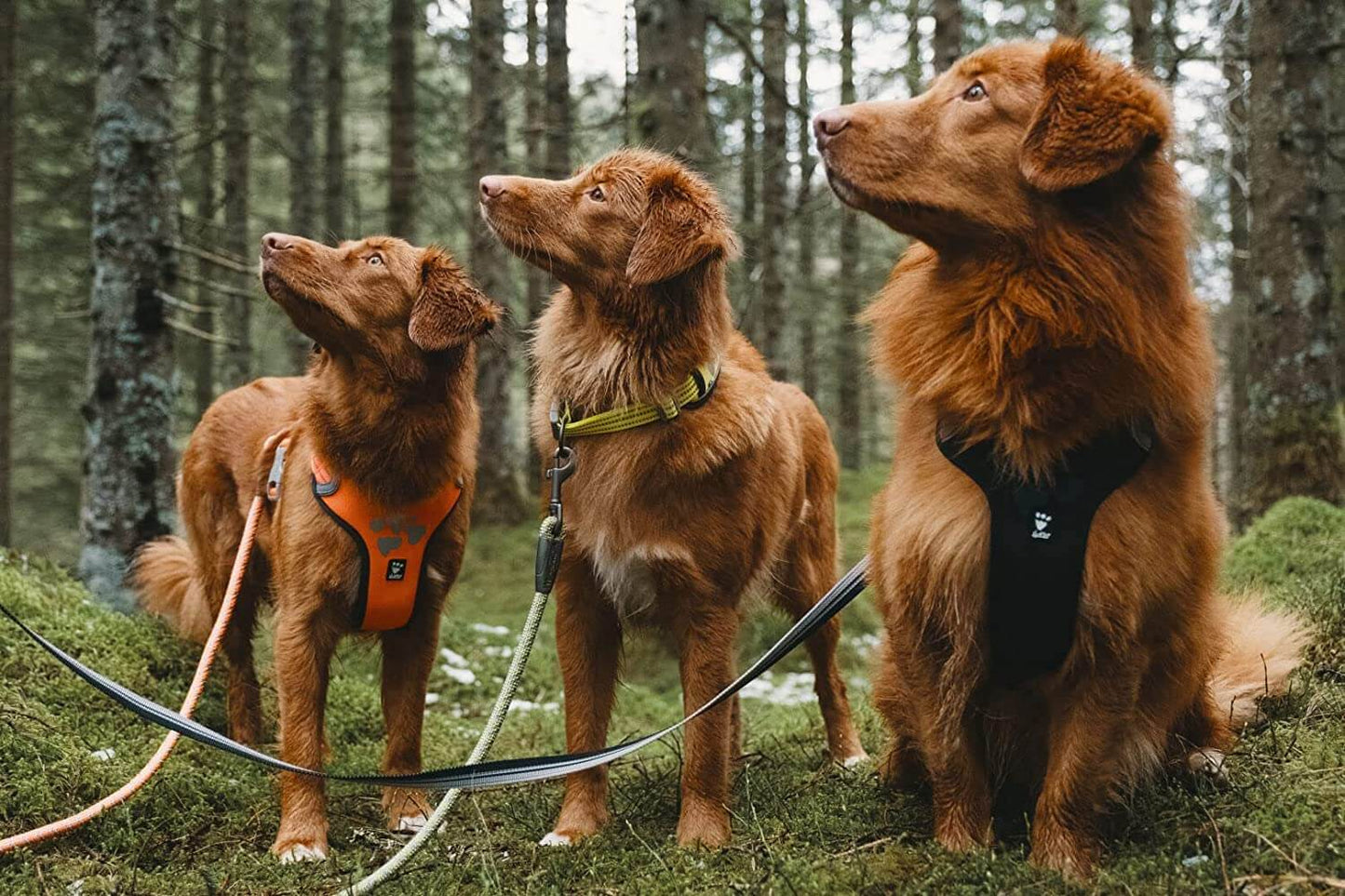 Hurtta Weekend Warrior Harness Raven 80-100cm