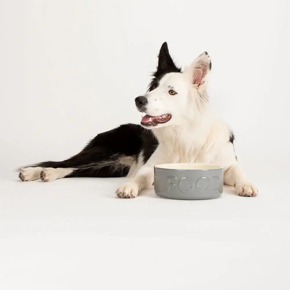 Scruffs Classic Food Bowl - 15cm Grey