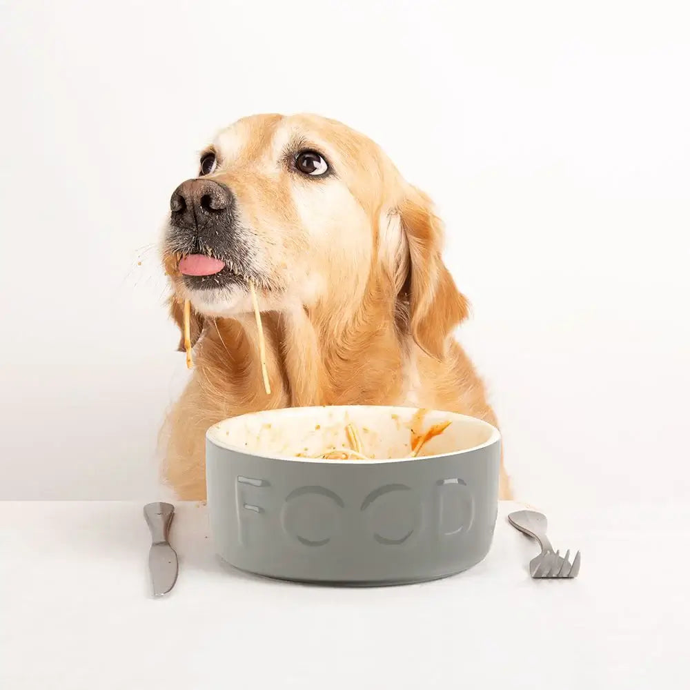 Scruffs Classic Food Bowl - 25cm Grey