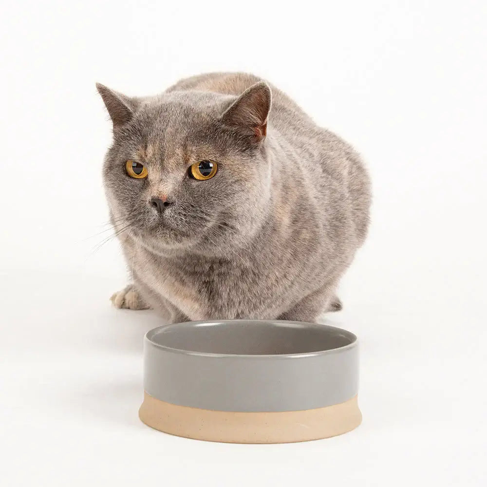 Scruffs Scandi Non Tip Bowl - 16cm Grey