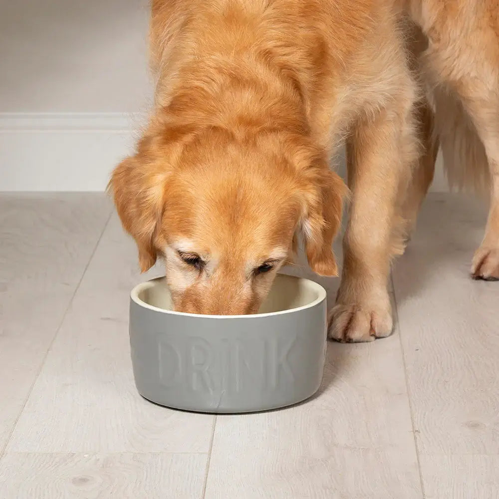 Scruffs Classic Water Bowl - 20cm Grey