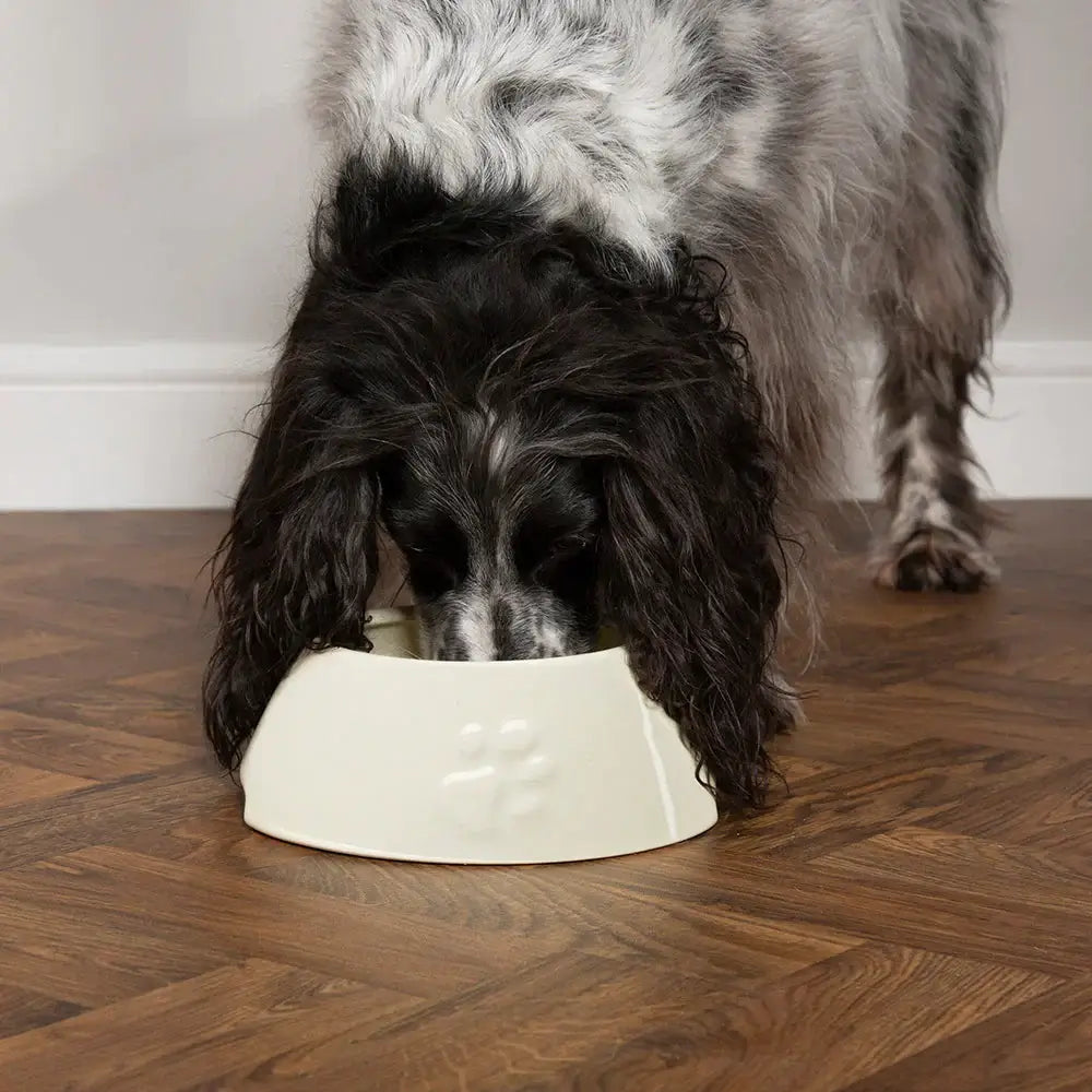 Scruffs Icon Long Eared Dog Bowl - 21cm Cream