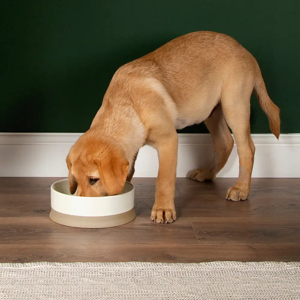 Scruffs Scandi Non Tip Bowl - 16cm Cream