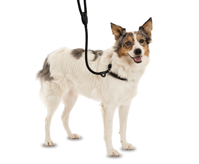 Company of Animals 3 in 1 Slip Lead Green Small 1.2m