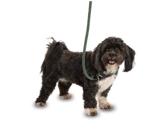 Company of Animals 3 in 1 Slip Lead Green Small 1.2m