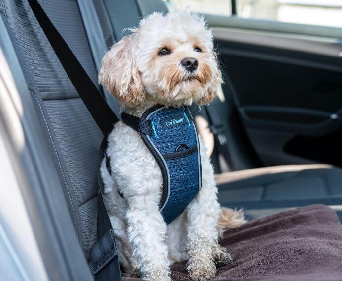 CarSafe Crash Tested Dog Harness (XS)