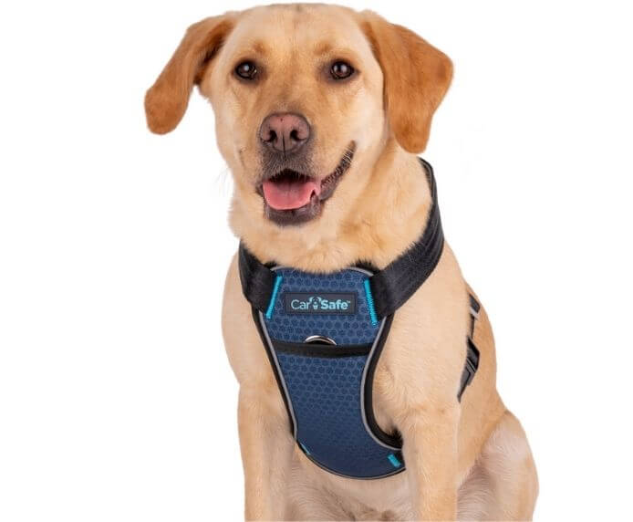 CarSafe Crash Tested Dog Harness (L)