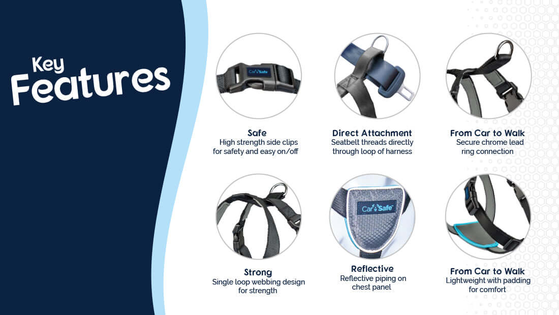 CarSafe Dog Travel Harness (S)
