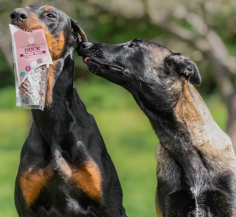 JR Pet Pure Duck Training Treats 85g