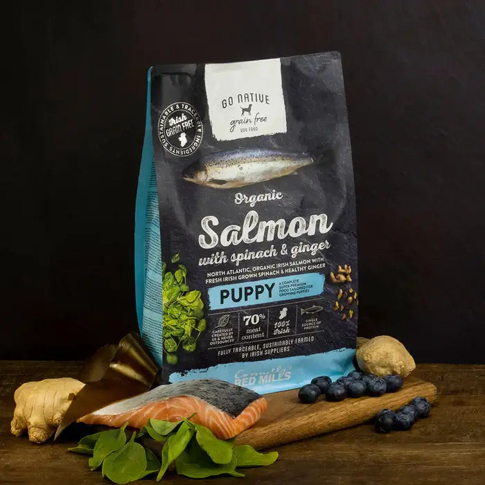 Go Native Puppy Salmon with Spinach and Ginger 4kg