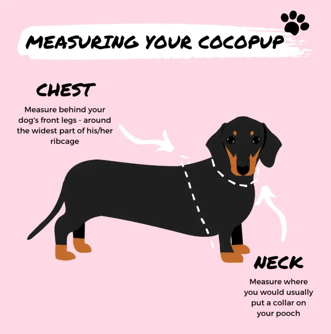 Cocopup London Love-A-Lot Teddy Adjustable Neck Harness (S)