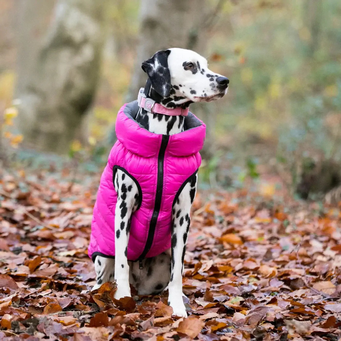 Girls' medium pink and navy reversible padded jacket