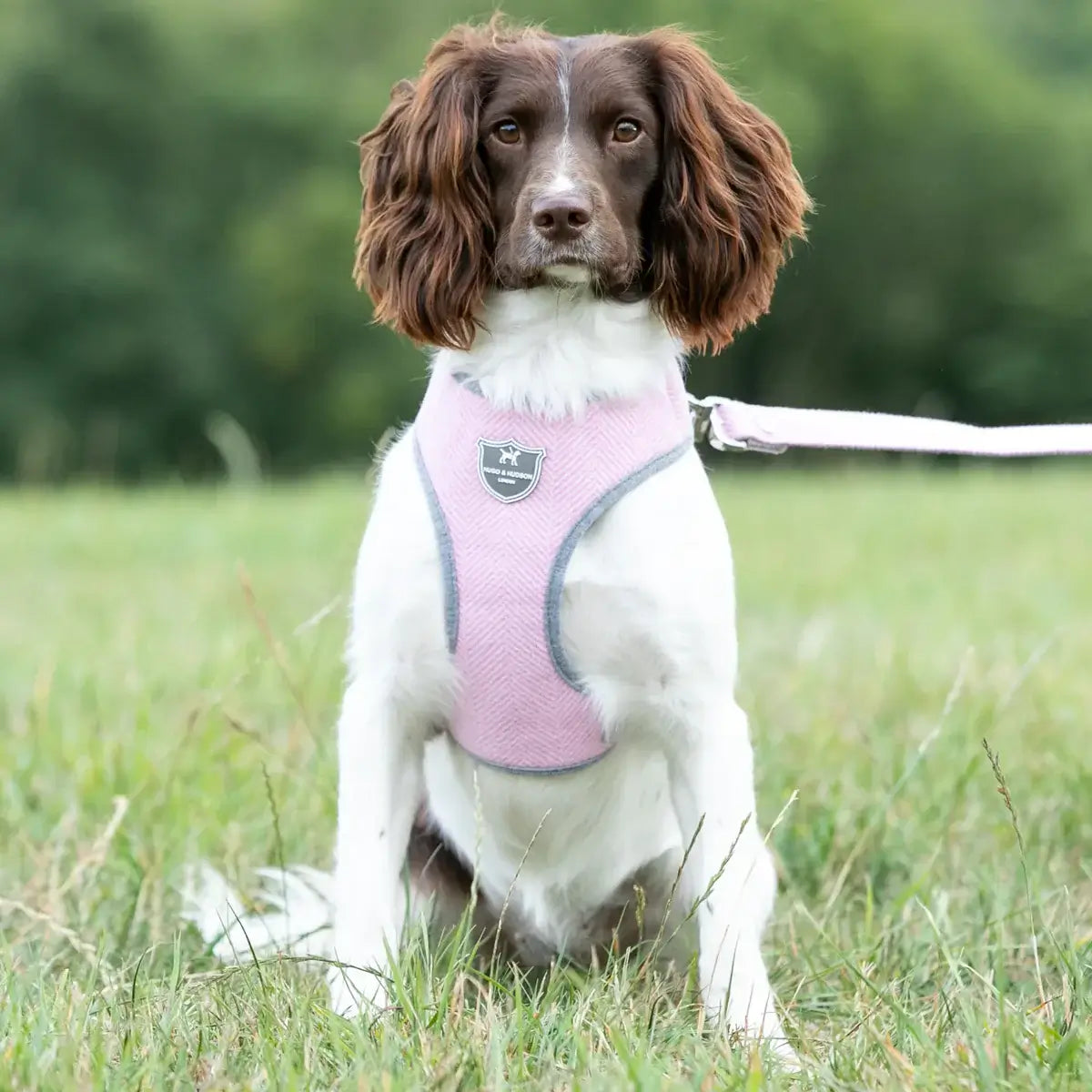 Hugo & Hudson Medium Pink Herringbone Dog Harness