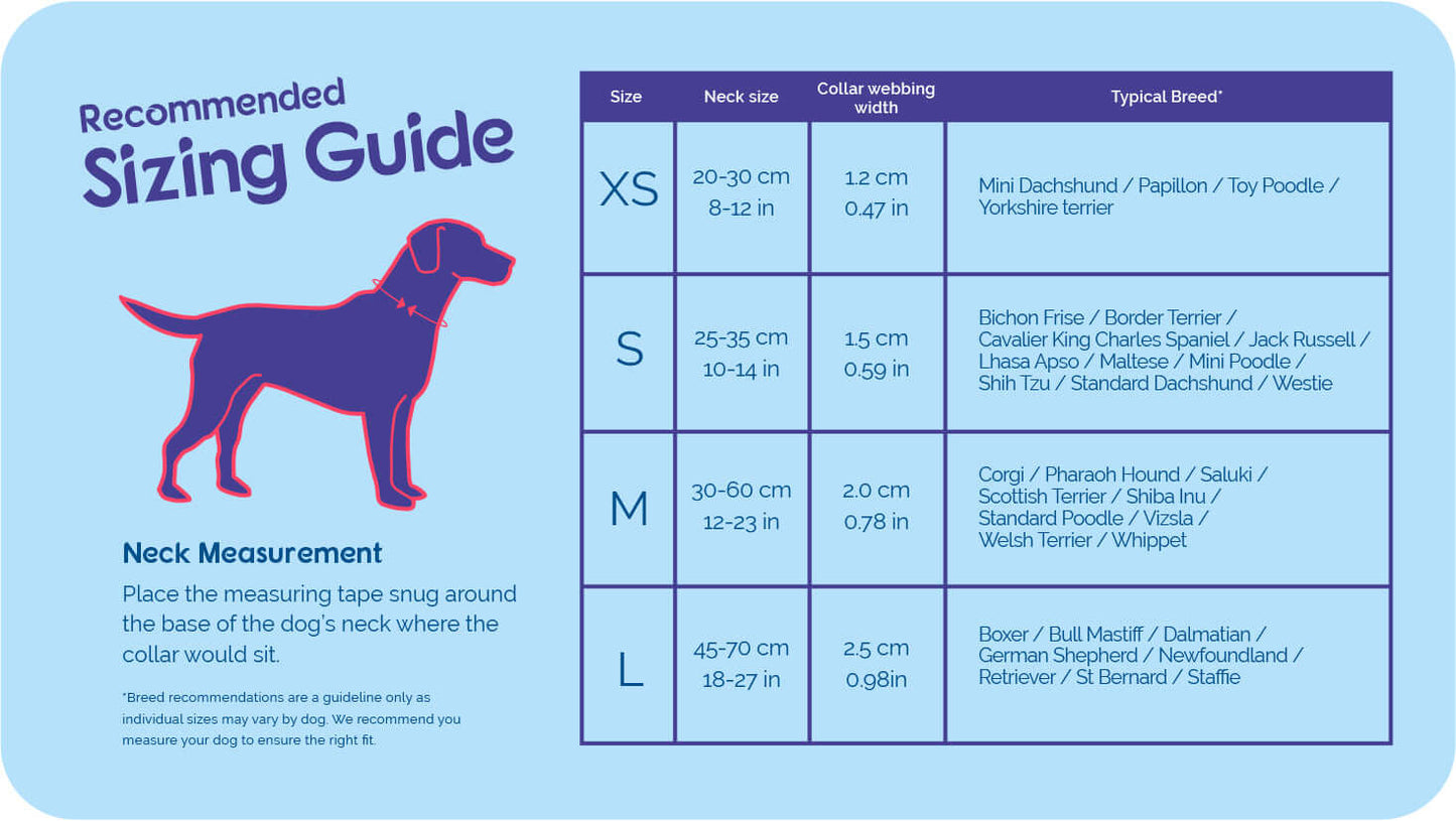 HALTI Collar Red (L)