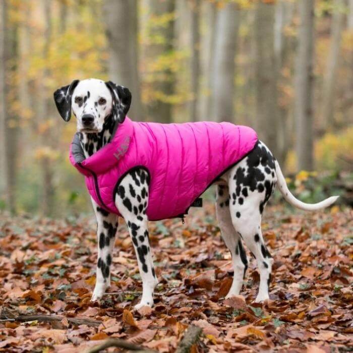 Hugo & Hudson Pink & Blue Puffer Jacket M47