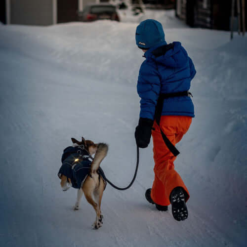 Orbiloc Dog Dual Safety Light Yellow