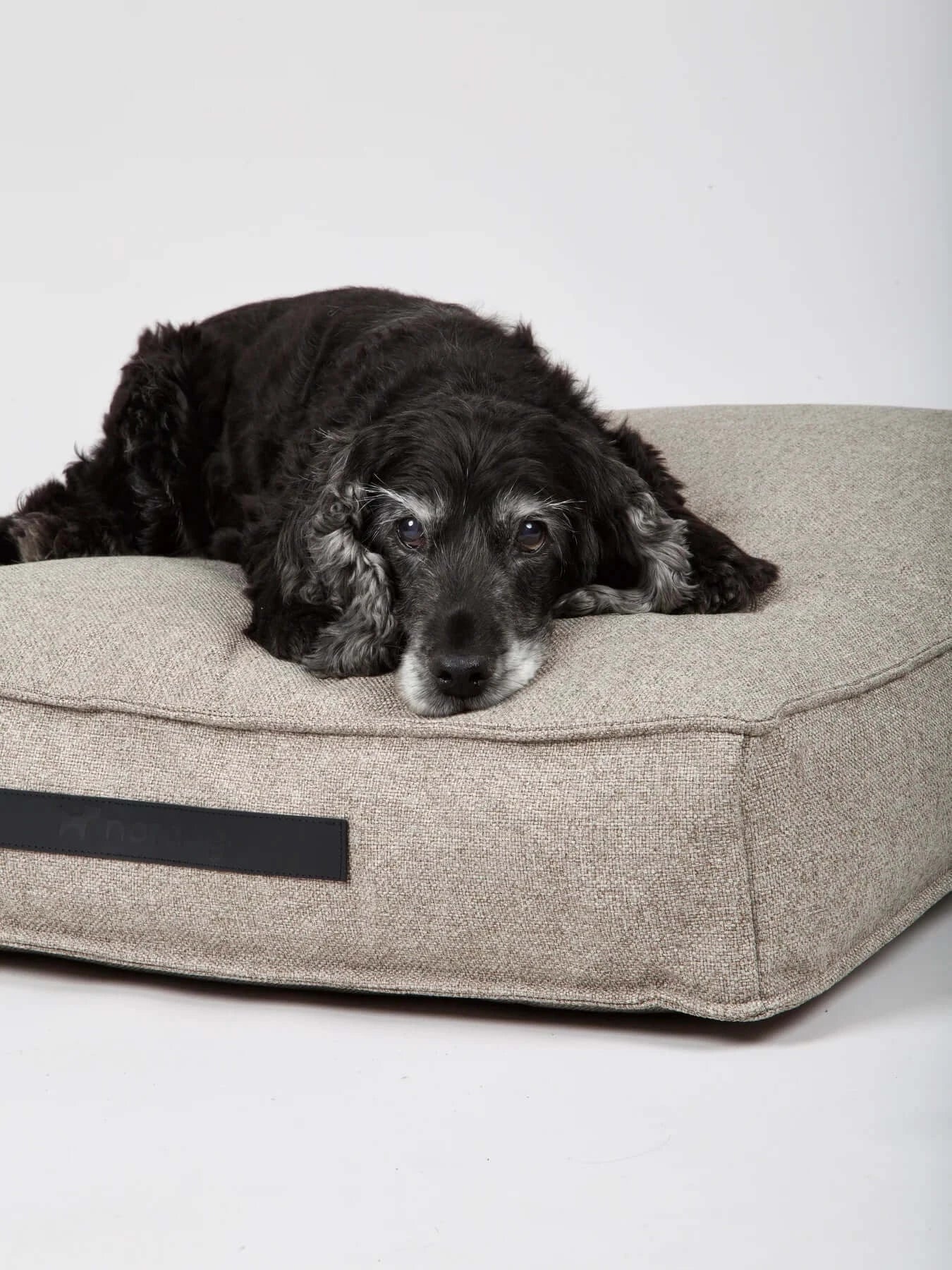 Nordog Cappucino Hygge Dog Cushion (M)