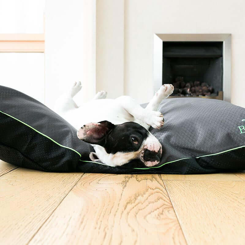 Beddies W/P Cushion (M) Charcoal & Lime