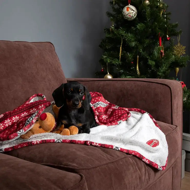 Scruffs Santa Paws Blanket & Reindeer Gift Set Burgundy