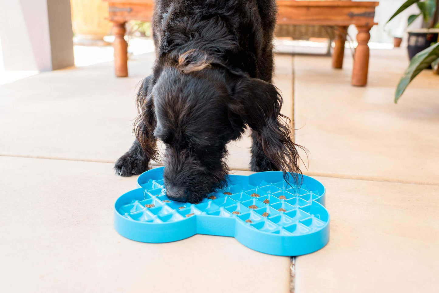 Slodog Turquoise 35cm